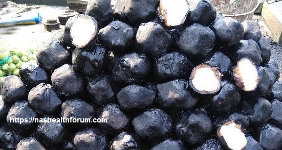 Winter Blessing: A Complete Guide to Singhara (Water Chestnut or Trapa Natans)